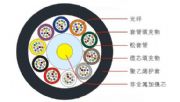 廣州漢信-gyfty層絞式非金屬加強(qiáng)芯非鎧裝光纜