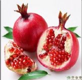 ʯ��Ƥ��ȡ��