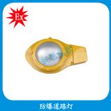 blc8610防爆道路燈 250w防爆路燈