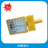 bam52防爆路燈 250w防爆路燈