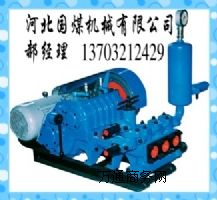 BW-250�����{��