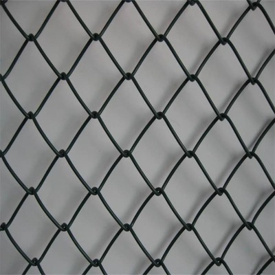 河北鍍鋅勾花網(wǎng)廠家供應(yīng)臺州體育安全防護(hù)網(wǎng)金華足球場鋼絲圍欄