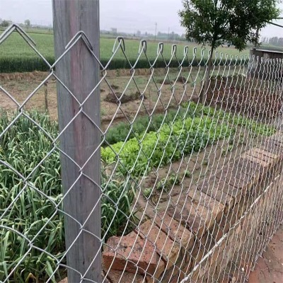 �ӱ��V�������^�W�S���Q���Vɽ߅�·��o�W�p��ɽ߅�¹̶����ξW