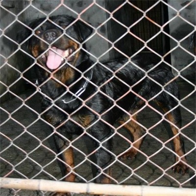 �ӱ���\���ξ����W�S��ʏ���\�ӈ����x���o�W���cī�Gɫ���x��