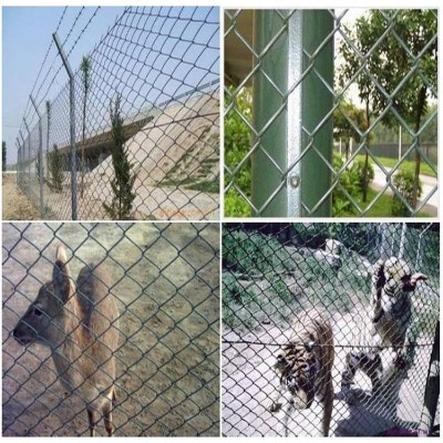 �ӱ�ú�V֧�o(h��)�W(w��ng)�S�ҹ���(y��ng)�|���B(y��ng)�u�B(y��ng)�������W(w��ng)����B(y��ng)ֳţ���o(h��)��