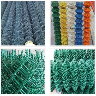 �ӱ��w�������W�S�ҹ���ĵ�����WУ�و����x�W�ں�߅�·��o�����W