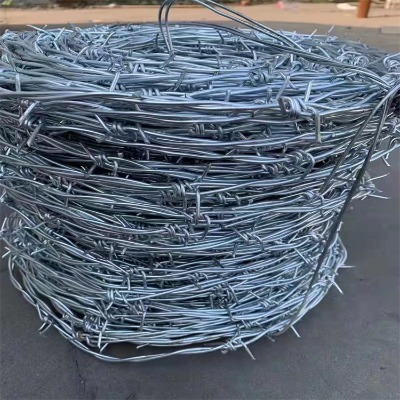 �ӱ��F�z���K�S���_�����P䓎����F�z�W�_�����P��F�z�W