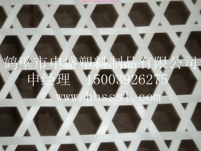 ú�V�þ����W ���o���ȼ�W