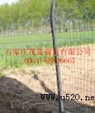 C�����o�ھW(w��ng)(�D)