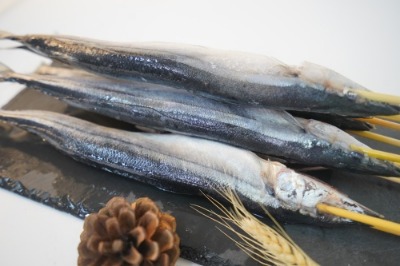 ǧ��(chu��ng)�S�ﵶ�~��Ʒ ǧ��(chu��ng)�S�ﵶ�~��Ʒ���a(ch��n)�S�� ���I(y��)�ﵶ�~���ʳ