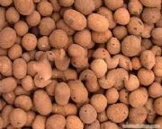 �����ԏ������V�����a���أ������V�ϏS��