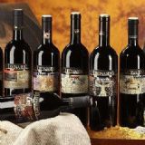 �V���M�ڼt�ƈ��P���m����