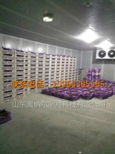 ���ѱ��r���