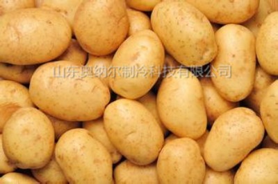 �߲˱��r�켉�R������A�ر��r���gԔ��