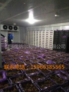 ������؎� ���r��