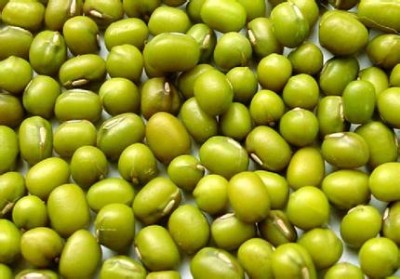 �p�ͷ��D�M�ھG��