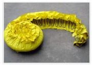 ;100��ˮ��A�� ȫ�����N