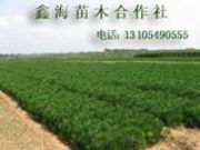 �؃r����С��|����С��|�ȰصȾG����(�D)