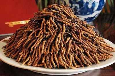 ���_�Ŷ��^����ͬ���ö��x�Ĳ�