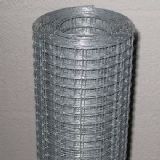 ��������늺��W