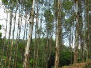 ���������ȼ����������@ С�~���翂�� ���~����r��