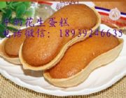 ţ�̻������⼼�g�����������