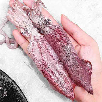 �������r�Ј�-���~���l�r��