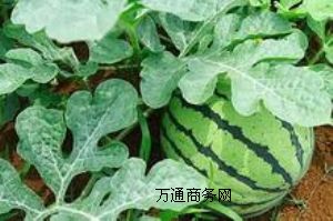 ����ُ(g��u)�N�H�����ϴ������Ϯa(ch��n)�^(q��)�f(w��n)�����ϻ���