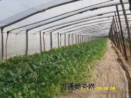 ����ُ(g��u)�N�\(ch��ng)�Ş鱾