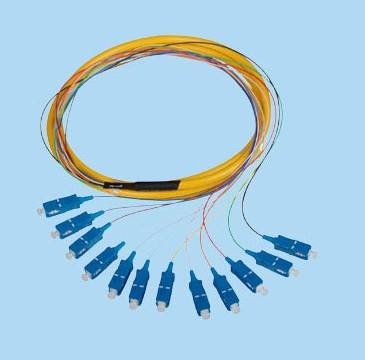 ���Ϻ��Ź�12о����β�wsc