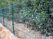 ����(y��ng)���x��(�D)