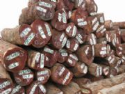 ���Ҹ�ľ���M�ڈ��P����