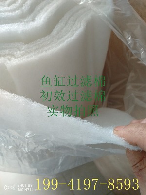 ��Ч�^�V��jfs�S��ֱ�N