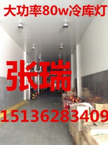 �͉���쑪(y��ng)����