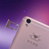 �������ٵĚq����������ţ��C�L�������]�������F���֙C��