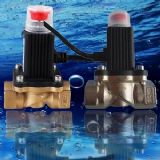 �o���Д�늴��yRQJD(�D)