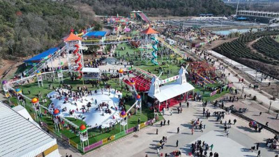 ƽ�ɽ�o�����Θ����e�Ŀ����-�����Θ��O��