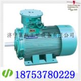 ����YBK2�V�÷���늙C YBK2-250M-4�V�÷���늙C