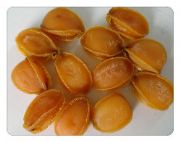 �_Դ�U�~�Ƀr��_�ڱ��õ��U�~�ɾ��ھ��ް���