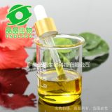 �����߼����`֥������