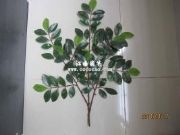 �S�ҵ̓rֱ�N���l(f��)�������~����ֲ����~