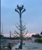 ���m������;