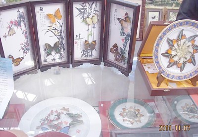 ���B�C(j��)��ˇ�g(sh��)Ʒ������P(gu��n)