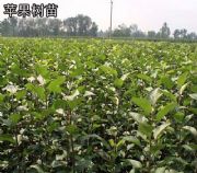 �����O���磬ɽ���O���磬�O����r���O����Ʒ�����l