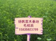 ë���硢ɽ����