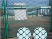 包塑PE金屬護(hù)欄勾花網(wǎng)