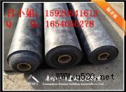 �������u��������������������(�D)