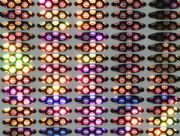 �����(bi��o)�N �����z�����̘�(bi��o)(�D)