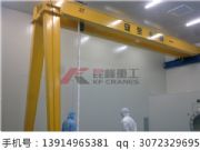 潔凈室門式起重機,潔凈室門式起重機供應商