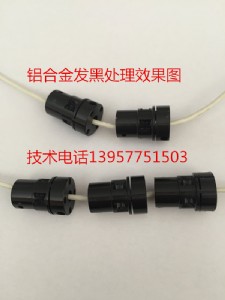 �X�Ͻ�l(f��)�ڄ� ���T�X�l(f��)�ڄ�